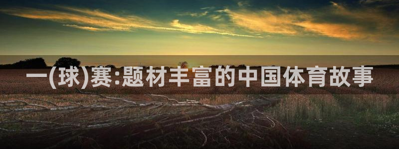 一(球)赛:题材丰富的中国体育故事