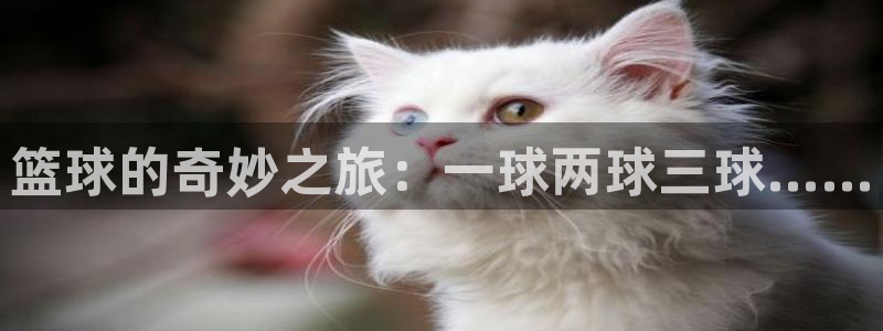  篮球的奇妙之旅：一球两球三球……