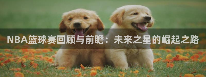  emc体育怎么样：NBA篮球赛回顾与前瞻：未来之星的崛起之路