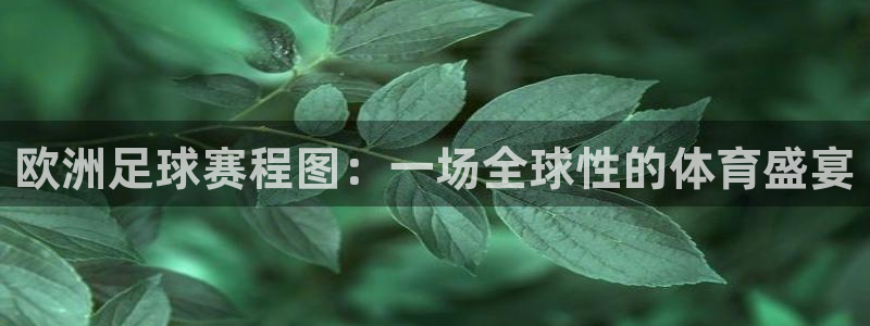 emc易倍·体育app下载：欧洲足球赛程图：一场全球性的体育