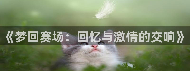  易倍emc官网登录：《梦回赛场：回忆与激情的交响》
