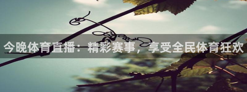  emc32软件安装：今晚体育直播：精彩赛事，享受全民体育狂欢