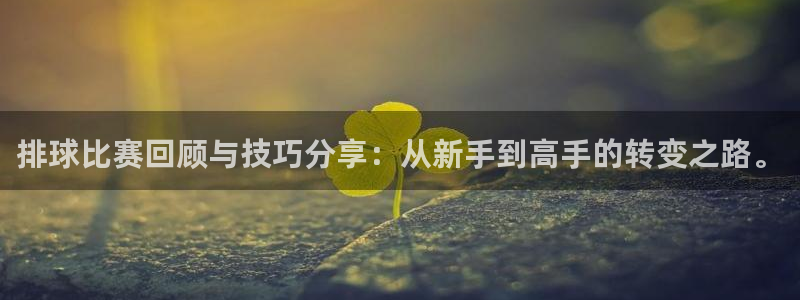 emc易倍全站官网：排球比赛回顾与技巧分享：从新手到高手的转