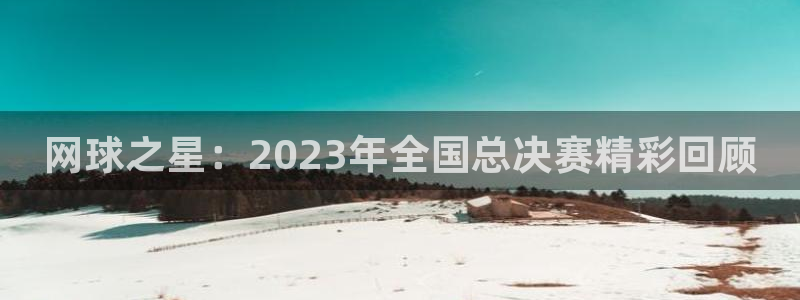  emc软件下载：网球之星：2023年全国总决赛精彩回顾