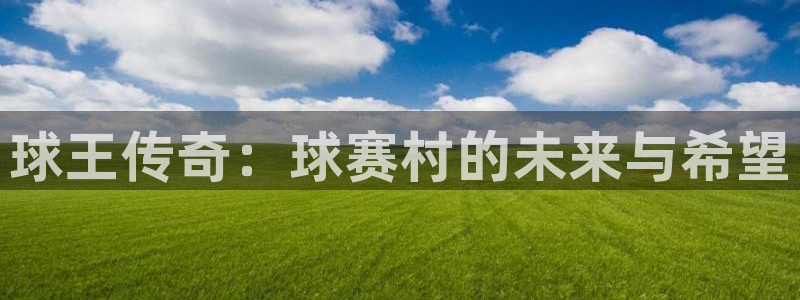  emc软件下载：球王传奇：球赛村的未来与希望