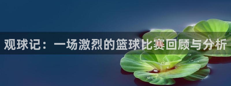  易倍emc官网：观球记：一场激烈的篮球比赛回顾与分析