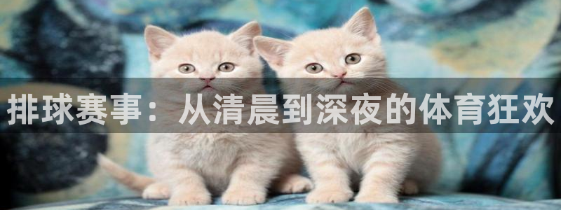  易倍emc体育下载：排球赛事：从清晨到深夜的体育狂欢