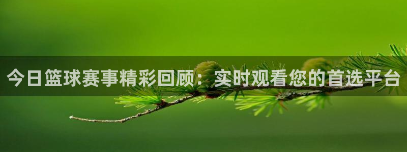 emc体育官网：今日篮球赛事精彩回顾：实时观看您的首选平台